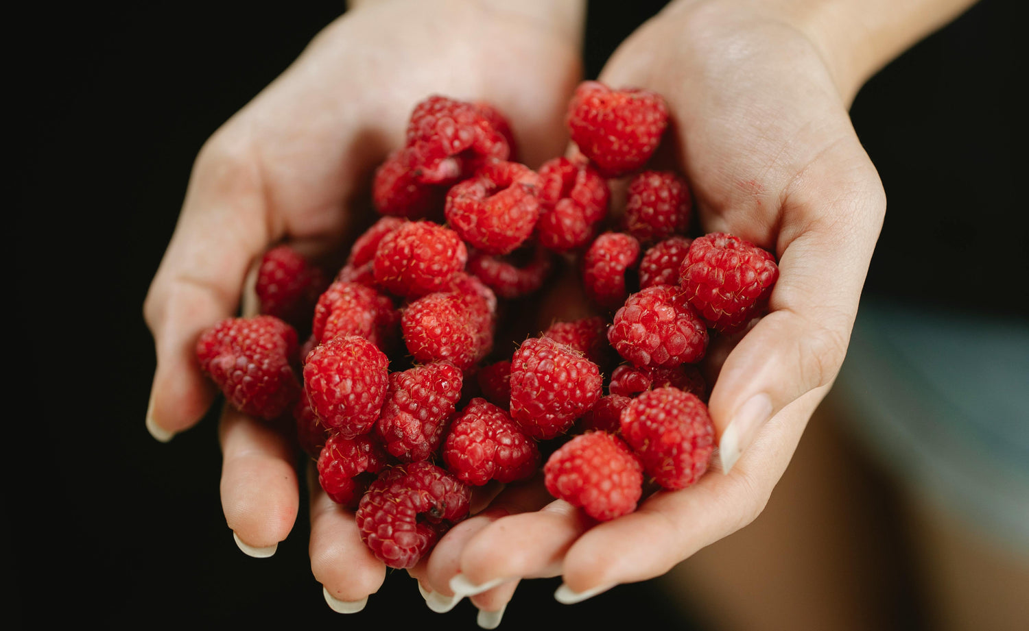 ✨ Fun Facts About Our Ingredients: Raspberry, Coconut & Cold Sugar